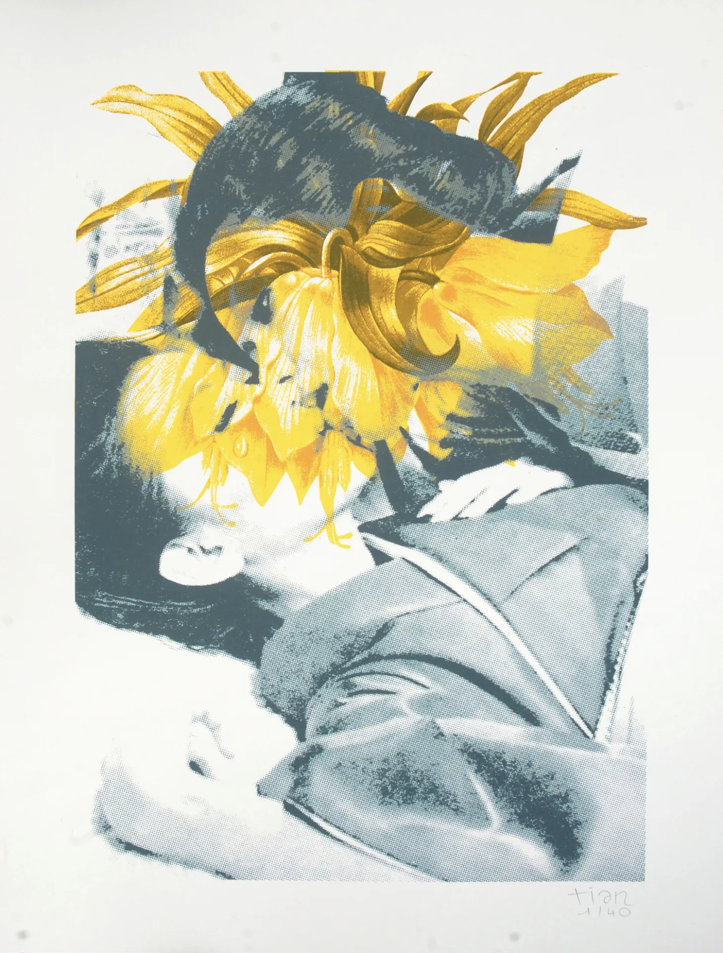 Image de l'œuvre