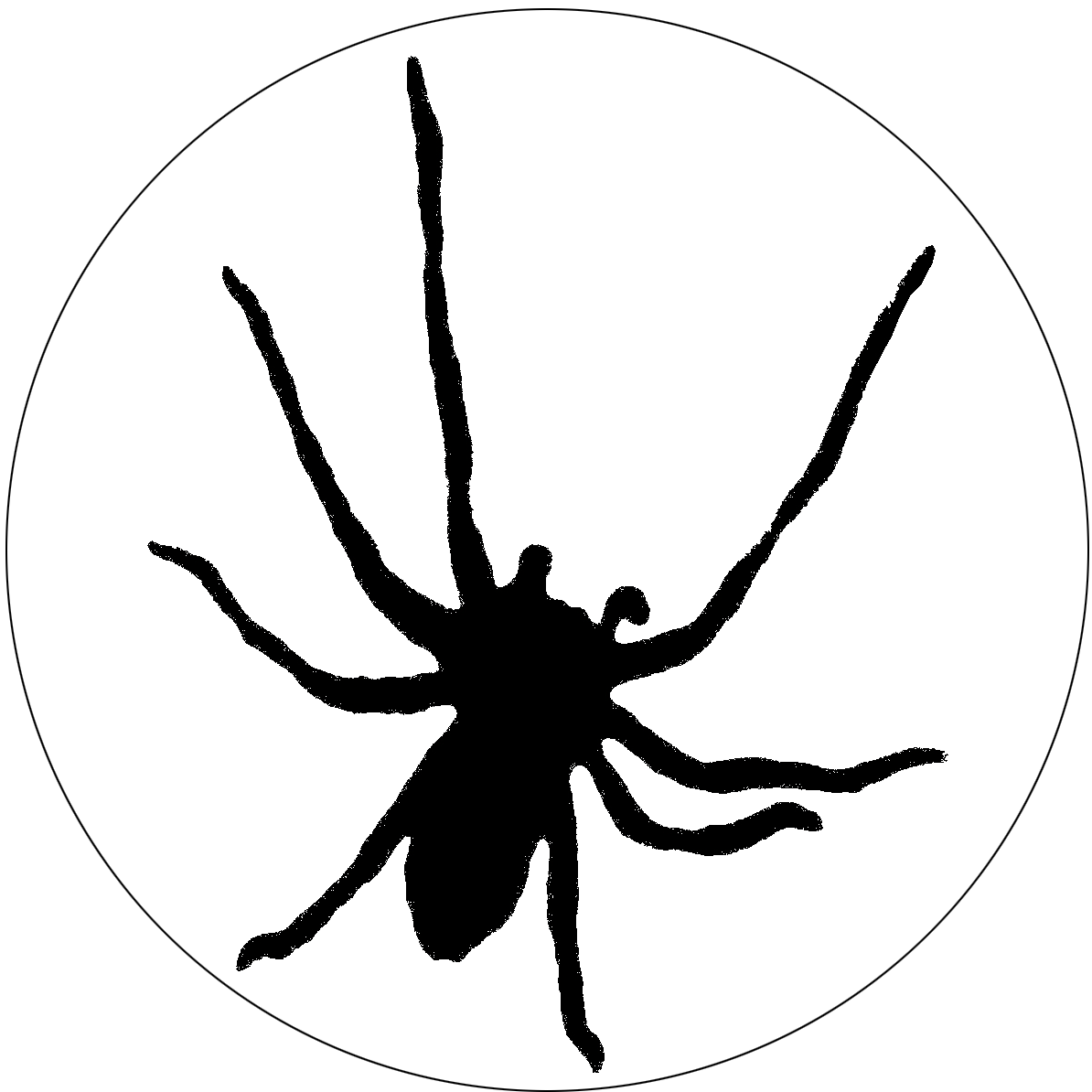 Docteur Bergman
